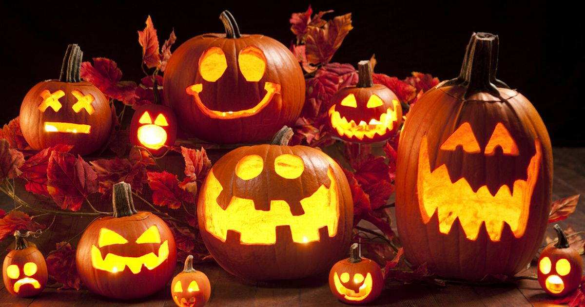 Halloween Essay: Trick or Treat Your Tutor